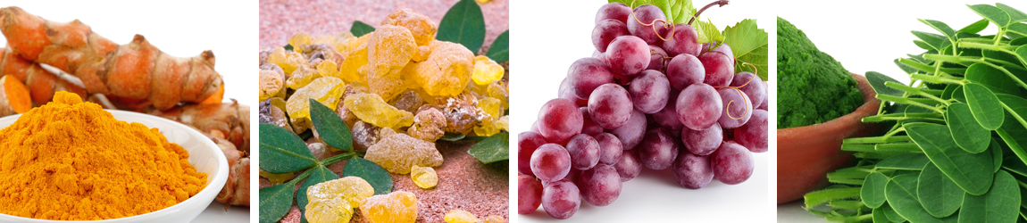 nahrungsergaenzung-banner1